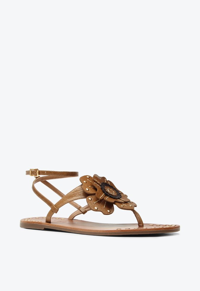 Flat Lily Caramelo Flor | Vicenza