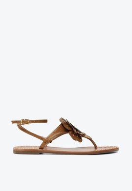 Flat Lily Caramelo Flor | Vicenza