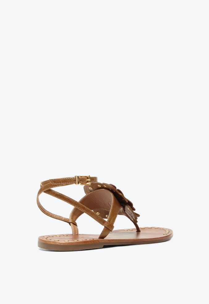 Flat Lily Caramelo Flor | Vicenza