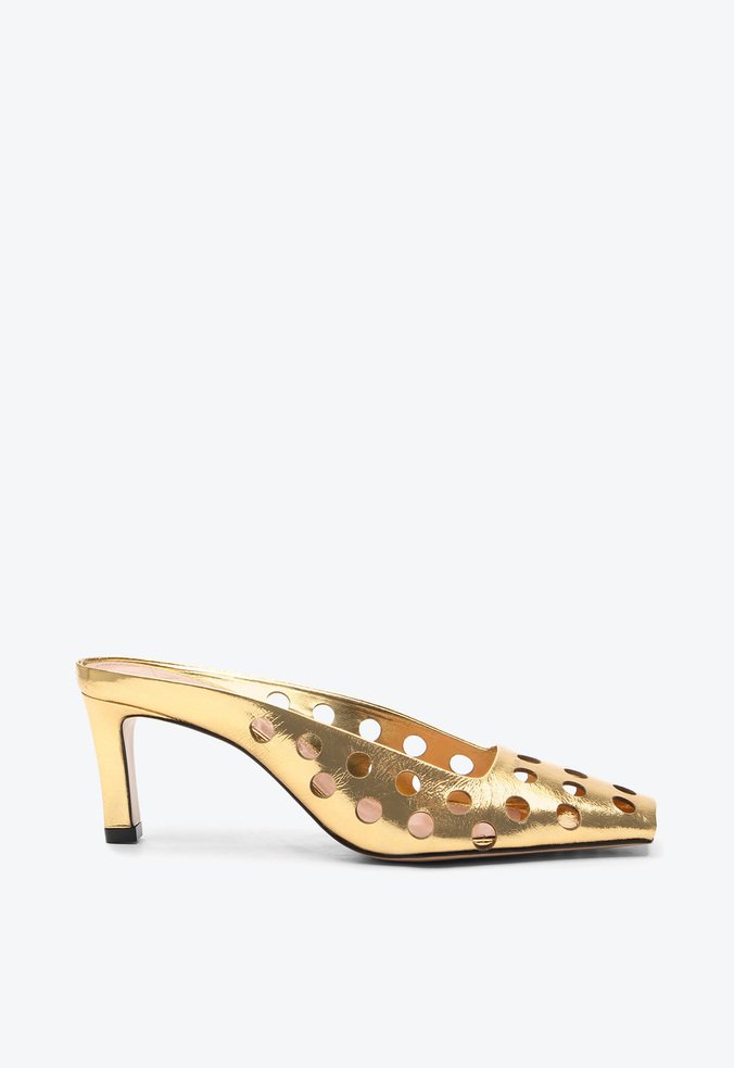 Mule Celina Dourado
